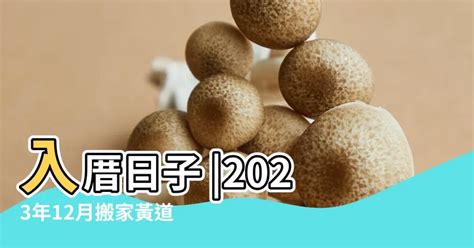 入厝吉日2023|2023年入宅吉日查询